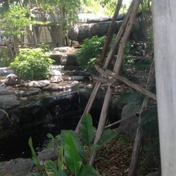 สวนสวย ฟังเสียงน้ำตก