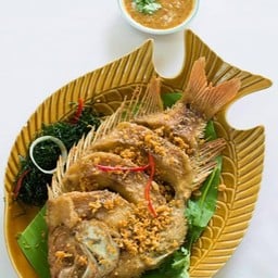 ปลาทับทิมหมักกระเทียม ทอดจนเหลืองกรอบและโรยหน้าด้วยกระเทียมเจียว
