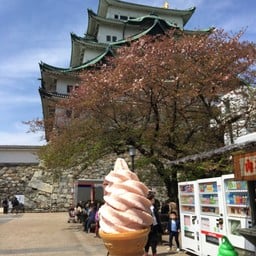 Tomi Soft Cream Nagoya Castle