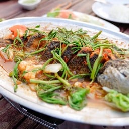 ปลาช่อนแปะซะ