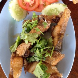 ร้านข้าวต้มเขาโพธิ์