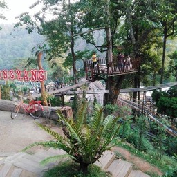 Pongyang Zipline & Jungle Coaster  