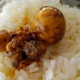 ไข่อ่อน