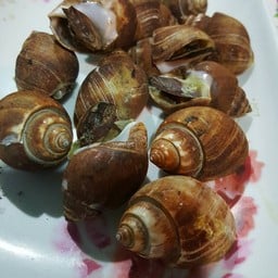 หอยหวานเผา