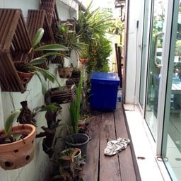 กาแฟสดบ้านนกฮูก