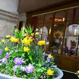 Le Boudoir Colmar , France
