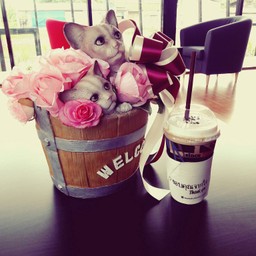 Coffee Today จปร.