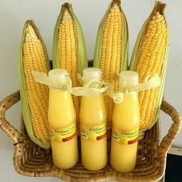 สามฝัก สาขา 1