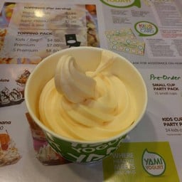 Yami Yogurt @Square 2