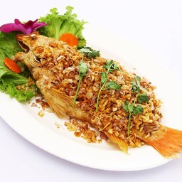 บ่อตกปลากัปตัน  รังสิต