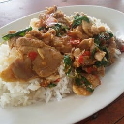 ก๋วยเตี๋ยวเป็ดเห็ดตับเต่า นายใช้คลองโพธิ์