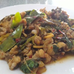 คอชะลัว