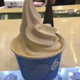 63 c Tomorakuno