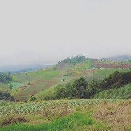 ม่อนแจ่ม