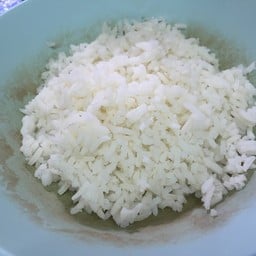 ข้าวเปล่า5บาท
