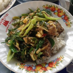 ผัดช่าปลาดุก