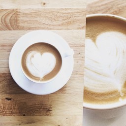 Green forest coffee