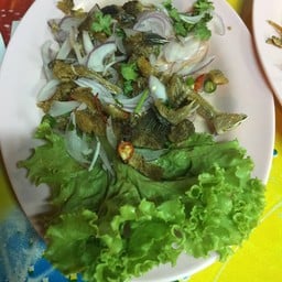 เนื้อปลาแห้ง เหมือนผ่านการทอดมาหลายสิบเที่ยว หนึบมาก ฟันจะหัก