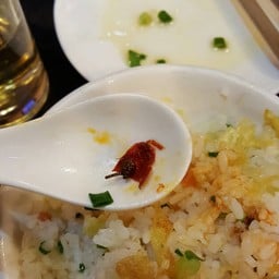 Hong Ding Fang Hot Pot 1999