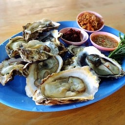 หอยนางรมสด