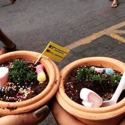 the gardener icecream จตุจักร