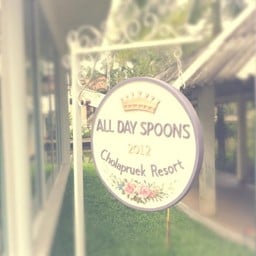 All day spoons