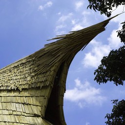 หลังคาเหมือนหัวนกสวยงาม