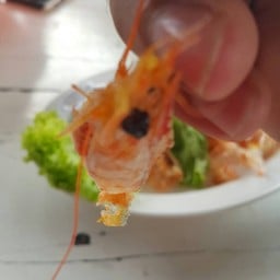 เนี่ยกุ้งตัวเท่าเนี๊ยะ