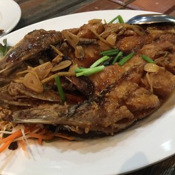 ปลากะพง(ชิ้น)ทอดน้ำปลา