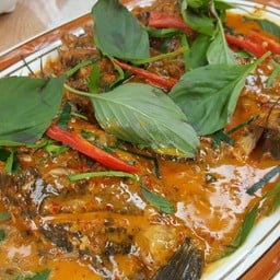 ฉู่ฉี่ปลาหมอ