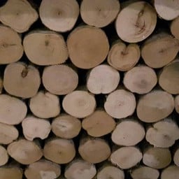 ฟืน ที่ใช้อบ pizza 