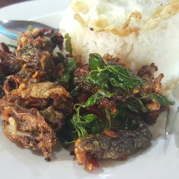 บ้านกลางนา