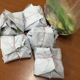 สั่งกลับบ้าน