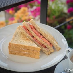 ออรั่มเดอะริเวอร์เพลส