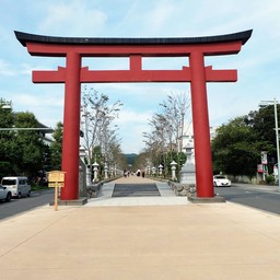 ทางไปวัด Tsurugaoka Hachiman-gū !!