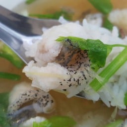 โตข้าวต้มปลา