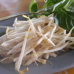 ก๋วยเตี๋ยวเรืออยุธยา เจ้าเก่า นวลจันทร์ 36