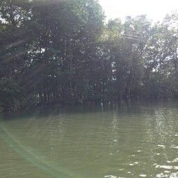 ทางเข้า ต้องนั่งเรือผ่านป่าชายเลย