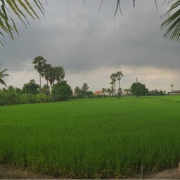 บรรยากาศหลังร้าน