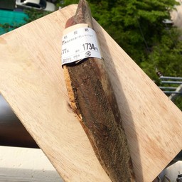 เหมือนท่อนไม้เลยมั้ยครับ