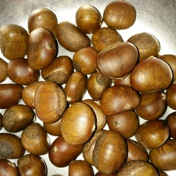 จุ๋มจ๋าเกาลัคญี่ปุ่น ร้านชัยโภชนา​  ซ.สามัคคี