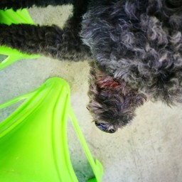 น้องถุงเงิน 😘😘