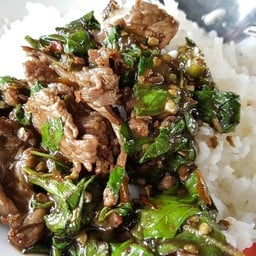 อาหารป่า เจ้เพลิน
