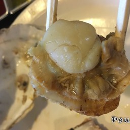 หอยเชลล์