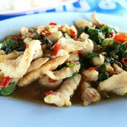 ข้าวกระเพราฉลาม