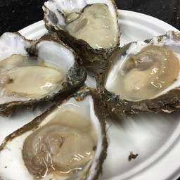 Richard Haward Oyster