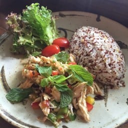Spicy Grilled Chicken Salad