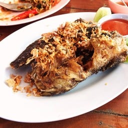 ร้านปลาดุกป้าทา