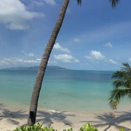 ภาพมุมกว้าง