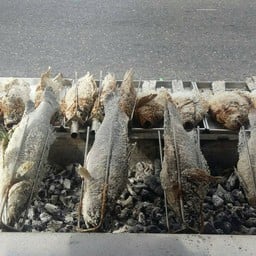 เมี่ยงปลาเผา หมูกะทะ ชะเอย